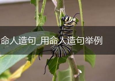 命人造句_用命人造句举例