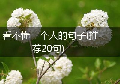 看不懂一个人的句子(推荐20句)