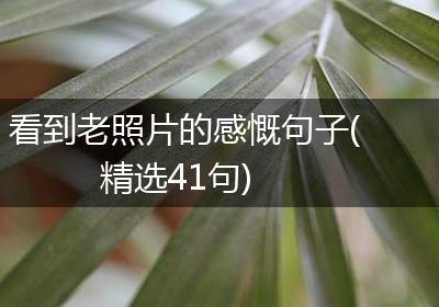 看到老照片的感慨句子(精选41句)