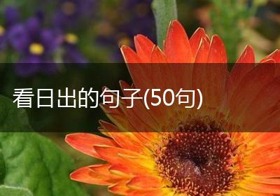 看日出的句子(50句)