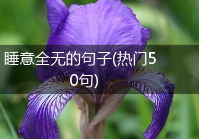 睡意全无的句子(热门50句)