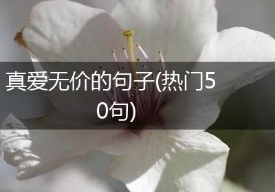 真爱无价的句子(热门50句)