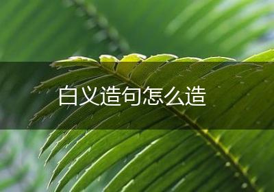 白义造句怎么造