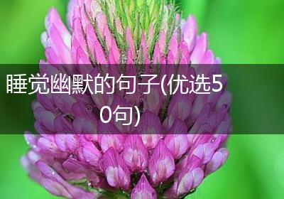 睡觉幽默的句子(优选50句)