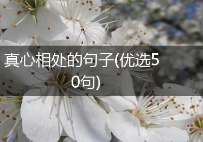 真心相处的句子(优选50句)