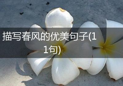 描写春风的优美句子(11句)