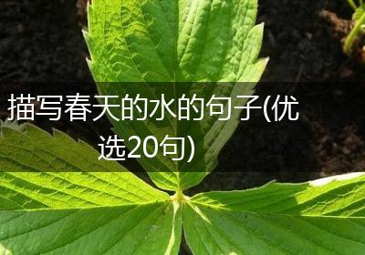描写春天的水的句子(优选20句)