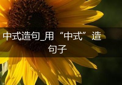 中式造句_用“中式”造句子