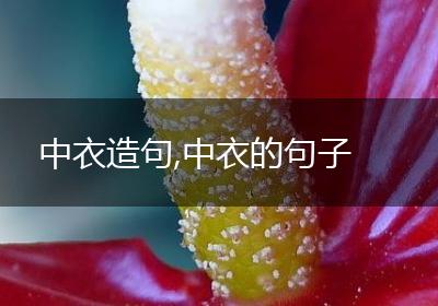 中衣造句,中衣的句子