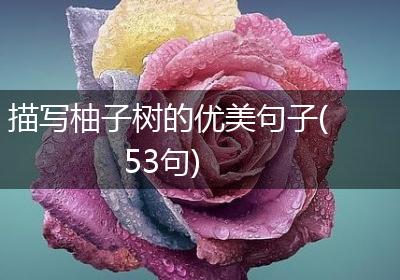描写柚子树的优美句子(53句)