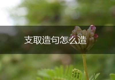 支取造句怎么造