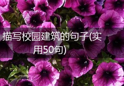 描写校园建筑的句子(实用50句)