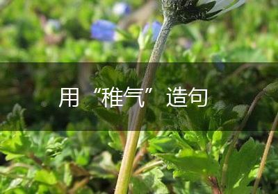 用“稚气”造句