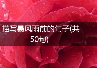 描写暴风雨前的句子(共50句)