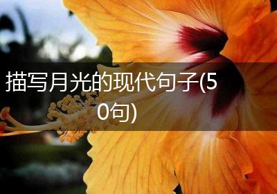 描写月光的现代句子(50句)
