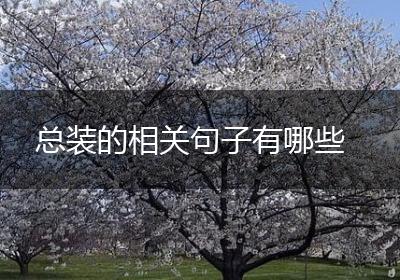 总装的相关句子有哪些
