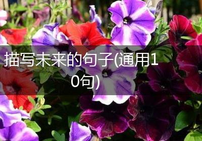 描写未来的句子(通用10句)