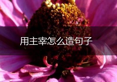 用主宰怎么造句子