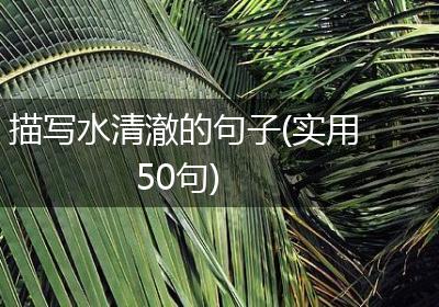 描写水清澈的句子(实用50句)