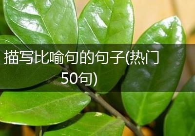 描写比喻句的句子(热门50句)