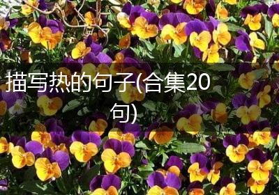 描写热的句子(合集20句)