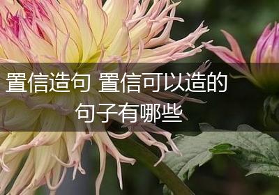 置信造句 置信可以造的句子有哪些