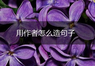 用作者怎么造句子