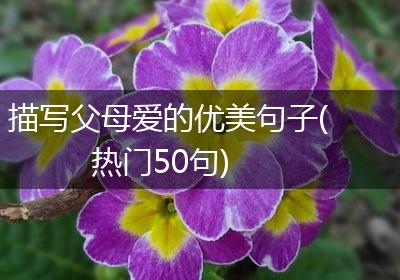 描写父母爱的优美句子(热门50句)