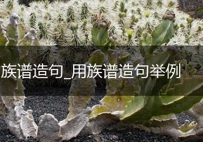 族谱造句_用族谱造句举例