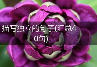 描写独立的句子(汇总40句)