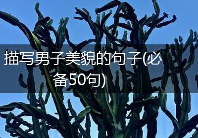 描写男子美貌的句子(必备50句)
