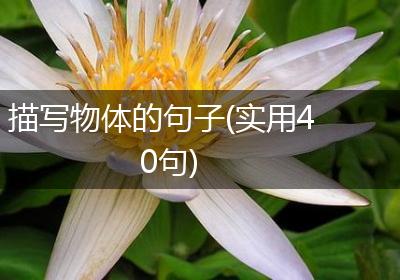 描写物体的句子(实用40句)