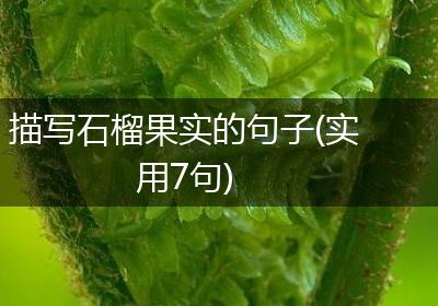 描写石榴果实的句子(实用7句)