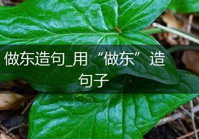 做东造句_用“做东”造句子