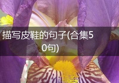 描写皮鞋的句子(合集50句)