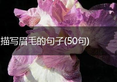 描写眉毛的句子(50句)