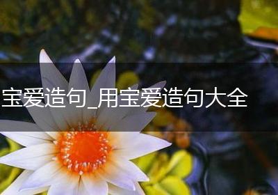 宝爱造句_用宝爱造句大全