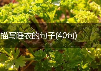 描写睡衣的句子(40句)