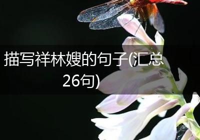 描写祥林嫂的句子(汇总26句)