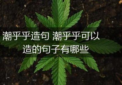 潮乎乎造句 潮乎乎可以造的句子有哪些