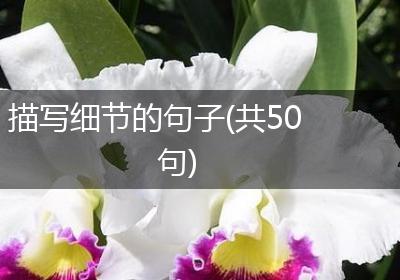 描写细节的句子(共50句)
