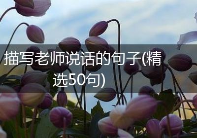 描写老师说话的句子(精选50句)