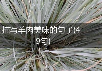描写羊肉美味的句子(49句)