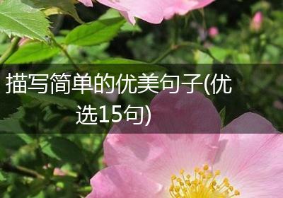 描写简单的优美句子(优选15句)