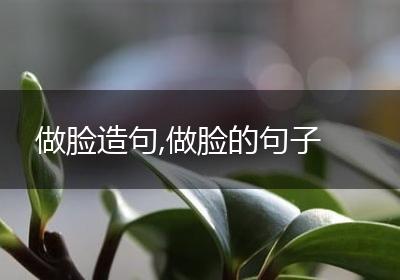 做脸造句,做脸的句子