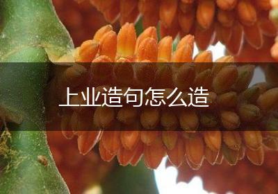 上业造句怎么造