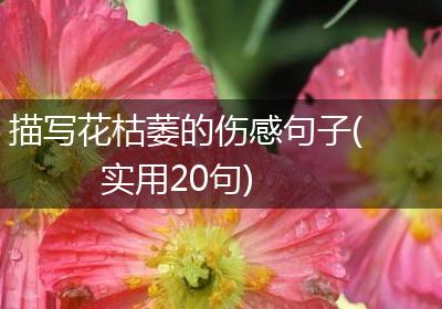 描写花枯萎的伤感句子(实用20句)