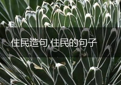 住民造句,住民的句子