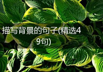 描写背景的句子(精选49句)