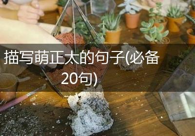 描写萌正太的句子(必备20句)